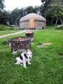 Campden dog friendly Yurts Cotswolds Glamping with pets